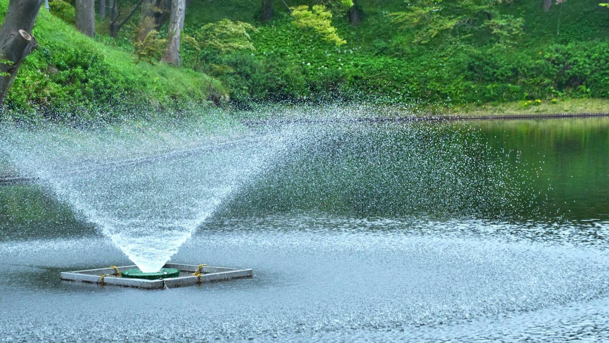 Toyoko Inn Joetsu Myoko Eki Nishi Guchi Bagian luar foto